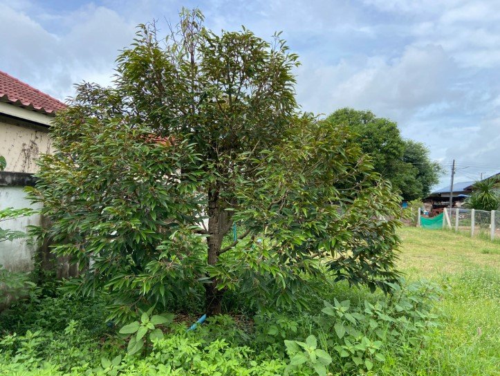 Screenshot-2024-10-07-114402.bk