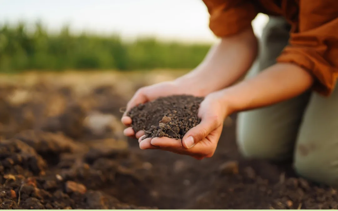 The Super Soil Organic Farming.